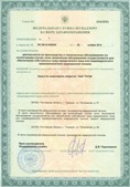 Дэнас официальный сайт denasolm.ru ЧЭНС-01-Скэнар-М в Георгиевске купить